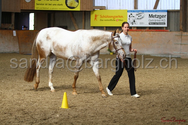 24-ApHC HIH_009.jpg